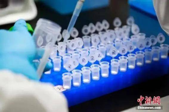 北京与武汉疫苗，中国新冠疫苗研发的双城记与全球贡献