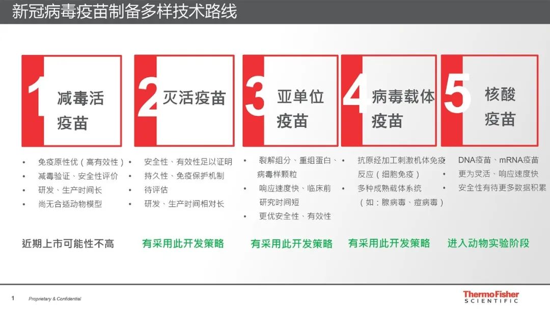 北京疫苗与长春疫苗，国产新冠疫苗的技术路线与特点对比