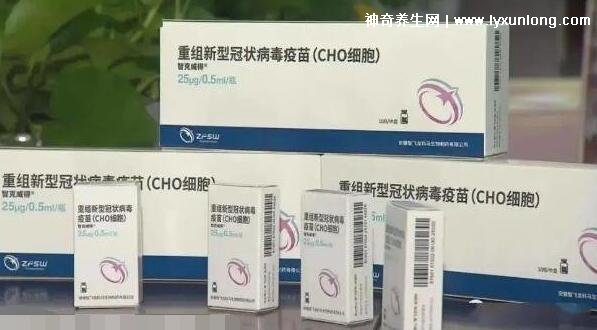 北京疫苗与长春疫苗，究竟有何不同？