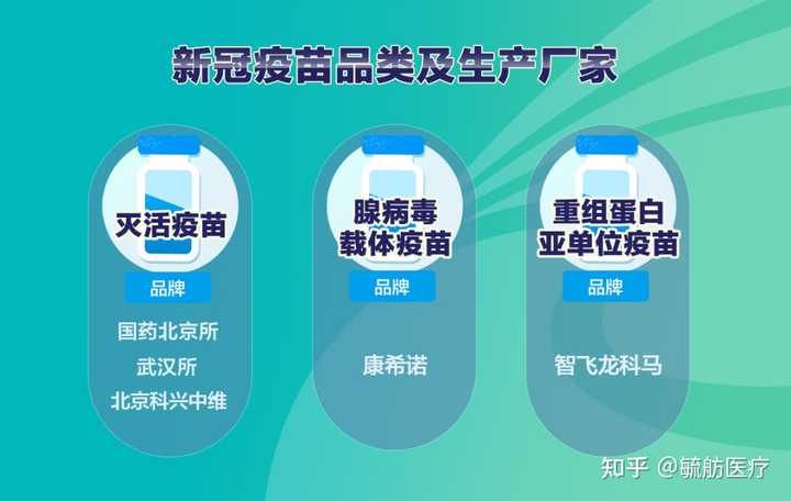 北京和成都的疫苗可以混打吗？全面解析新冠疫苗混打政策与注意事项
