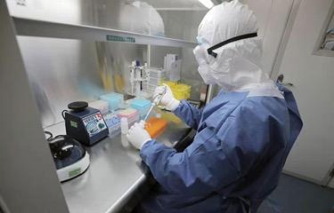 北京新现病毒，科学防控与公众应对指南