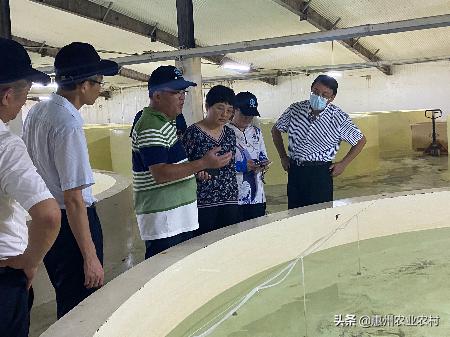 香港实时疫情动态，最新数据与防控措施分析