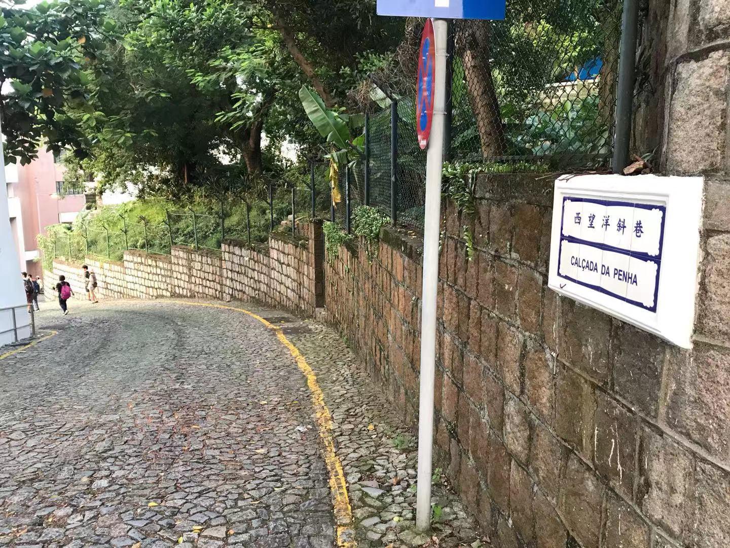 澳门解关时间预测与影响因素分析