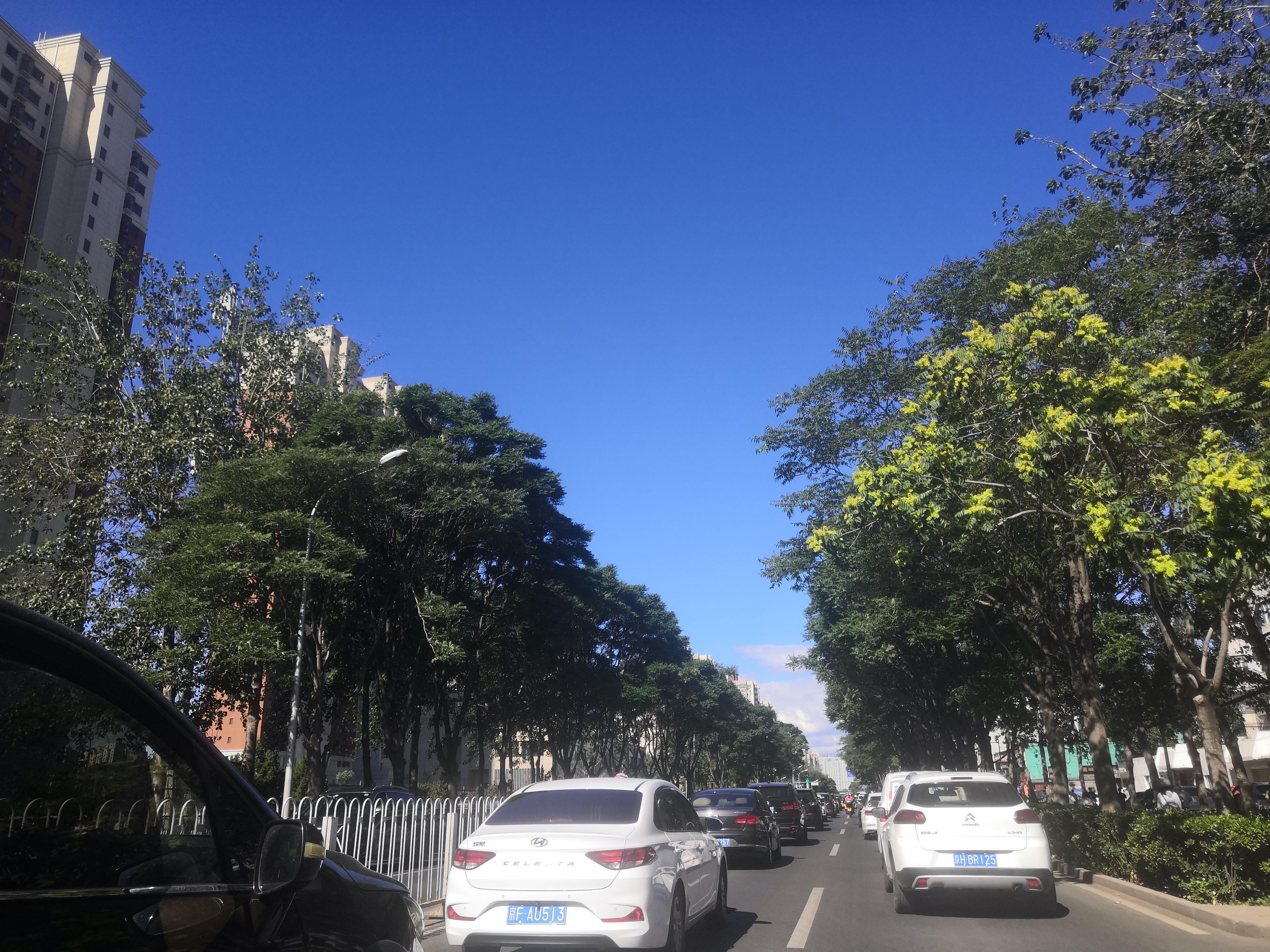 北京疫情解封时间预测与防控政策分析