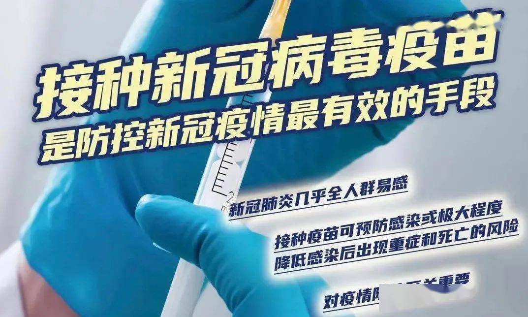 香港新冠疫情防控，挑战、策略与未来展望
