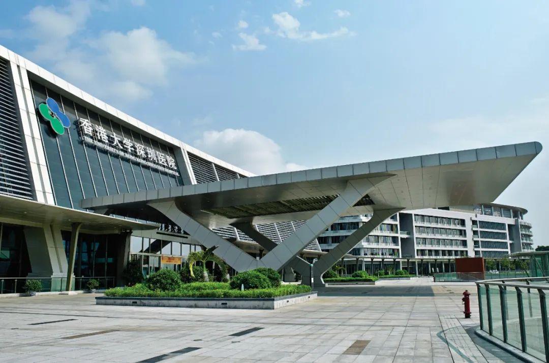 香港疫情再度反弹，防控挑战与未来展望