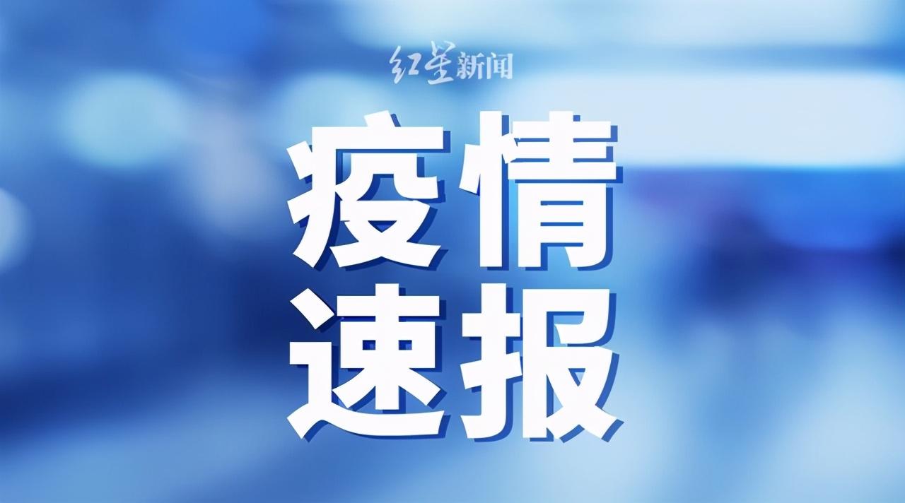 香港疫情境外输入病例分析，现状、挑战与防控策略