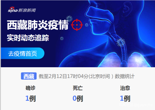 西藏自治区疫情政策与澳门开放情况解析
