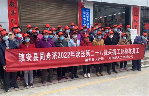 西藏自治区与青海省最新疫情政策解析，防控措施与区域协作