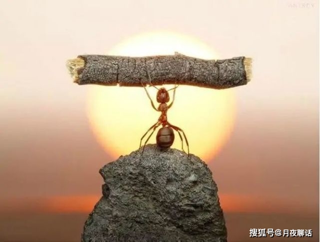 2021年郑州疫情，一场突如其来的考验