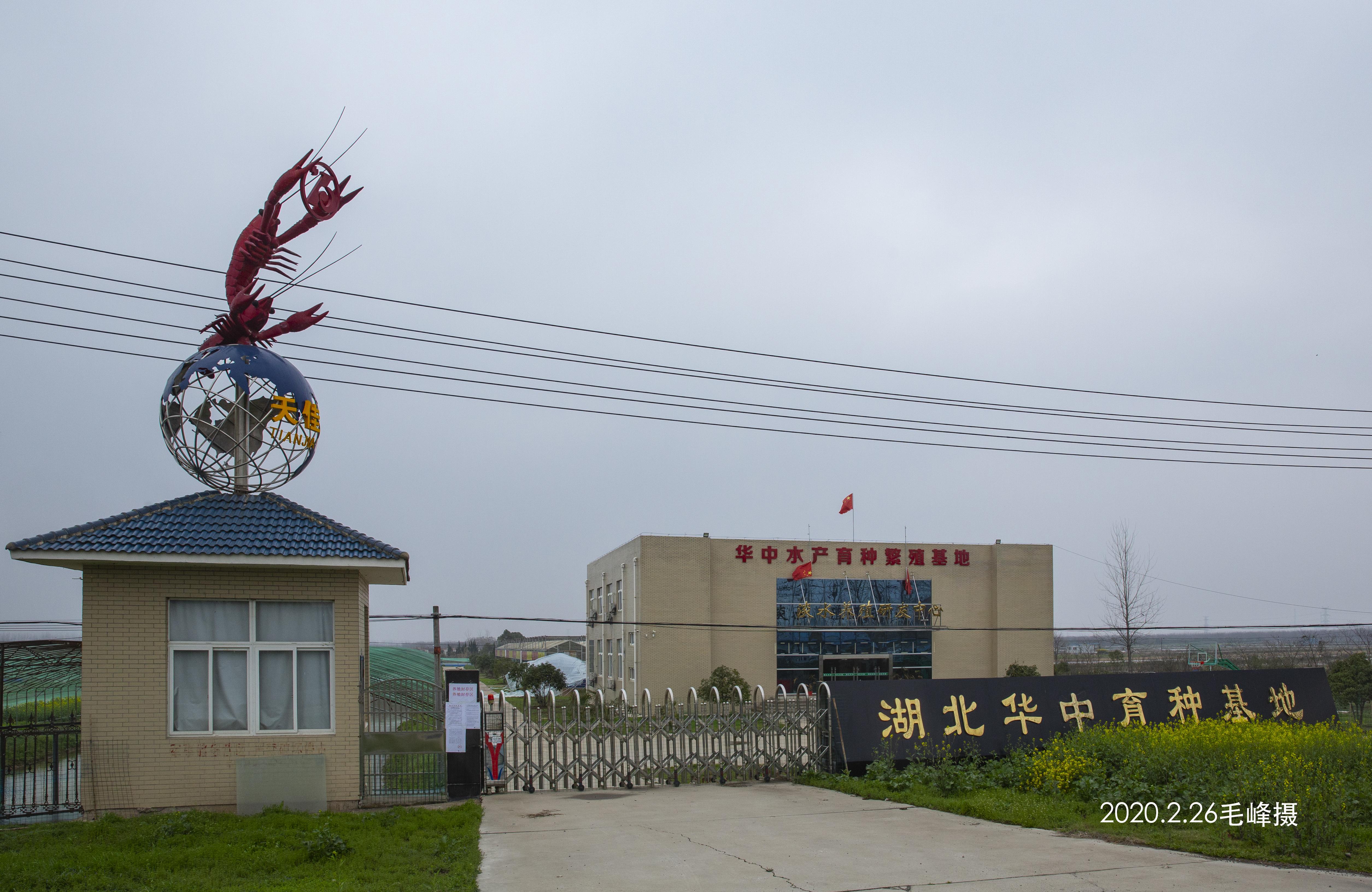 郑州疫情封城回顾，抗疫之路的坚守与挑战