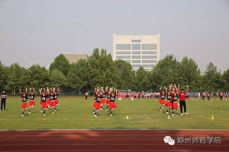 郑州师范学院教务处官网，功能、服务与使用指南