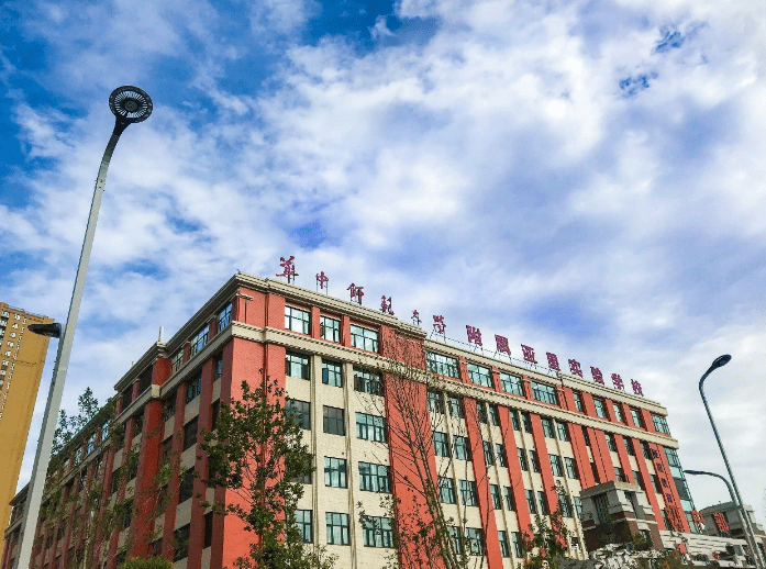 郑州师范学院正方教务系统，数字化校园管理的核心平台
