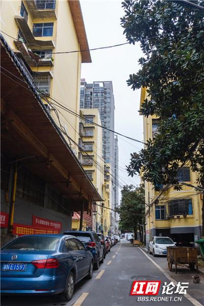 郑州疫情关门，一座城市的静默与坚韧