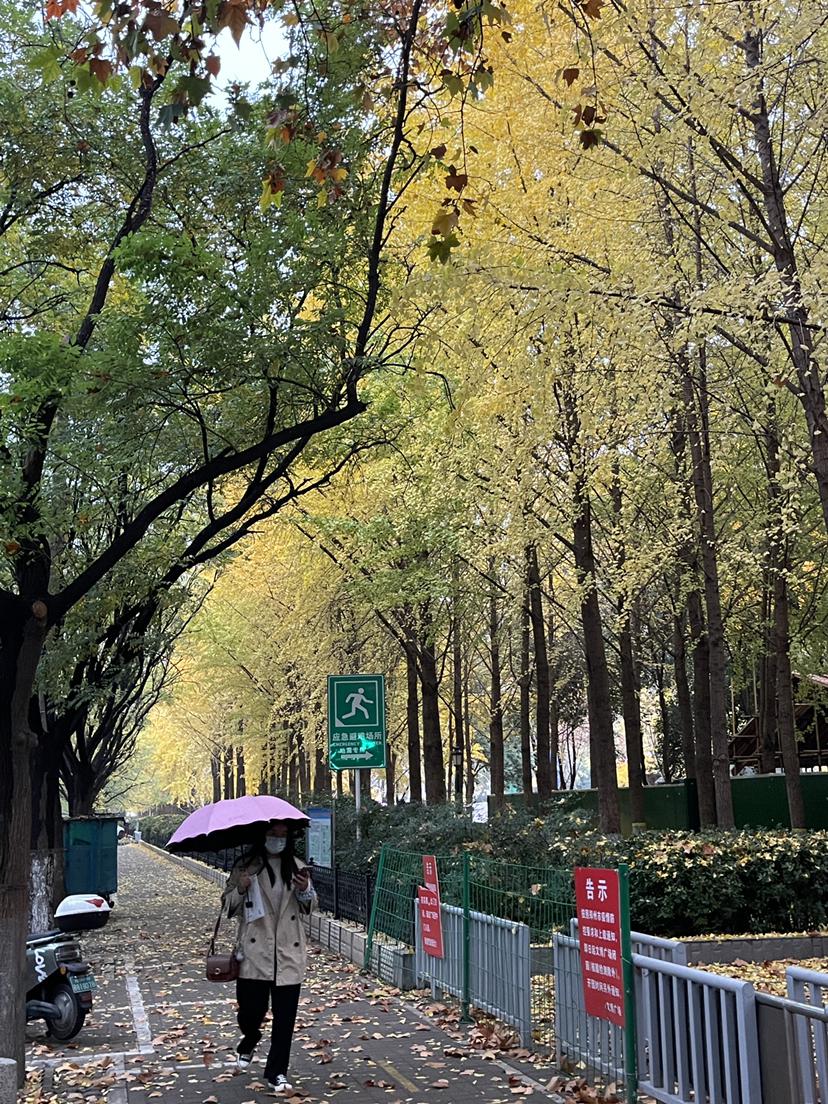 疫情冲击下的郑州商业，哪些商场未能挺过寒冬？