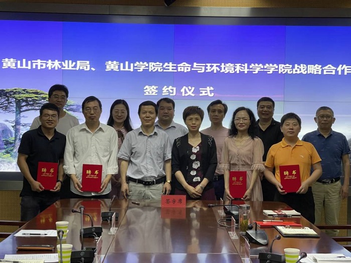 疫区合肥，一座城市的韧性密码与生命启示录