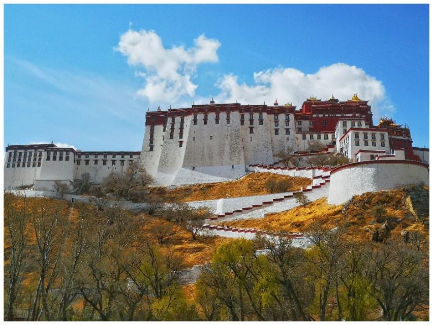 拉萨疫情，高原圣城的静默与突围