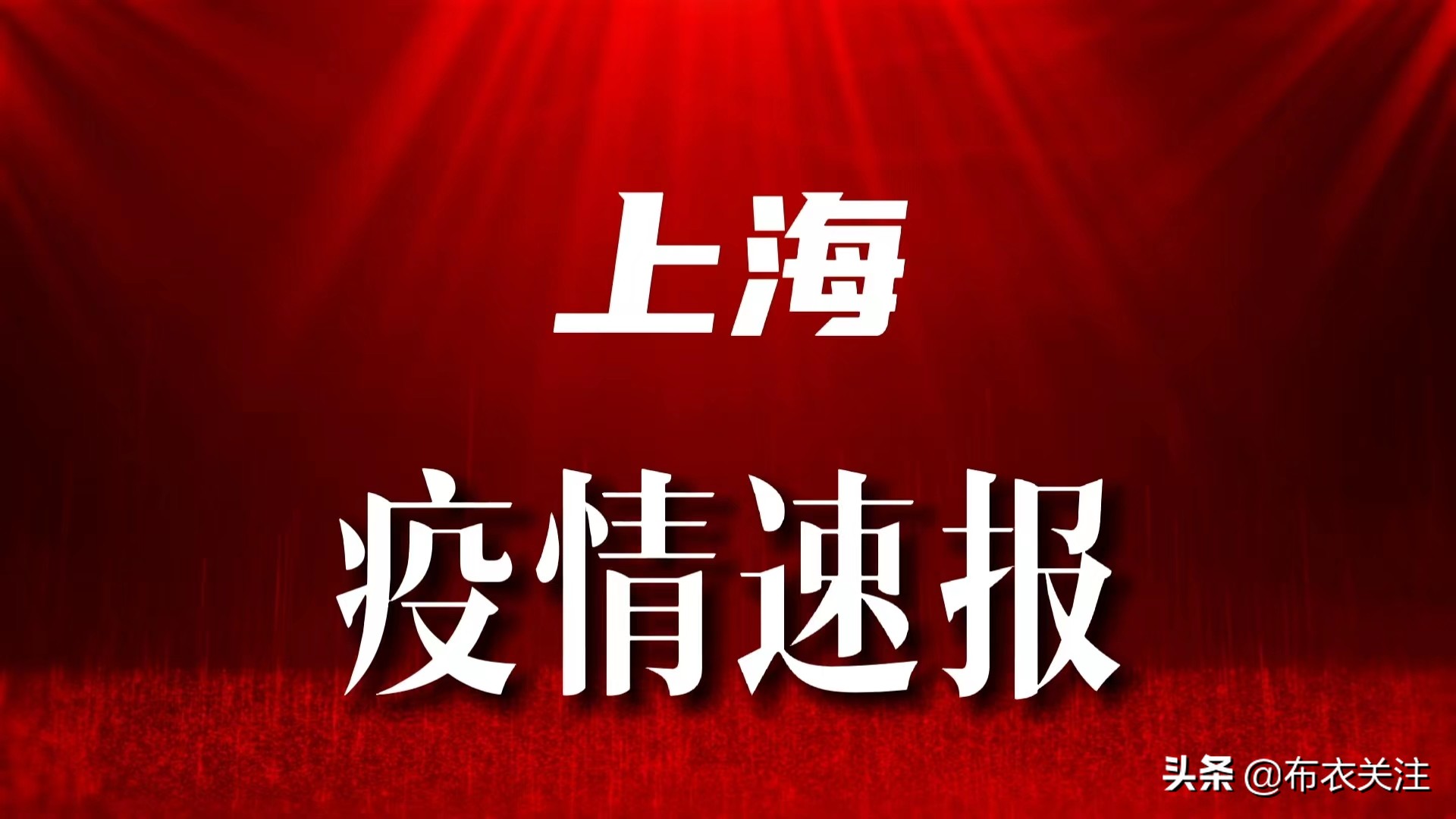 上海疫情防控通报，精准施策与全民共筑的防疫长城