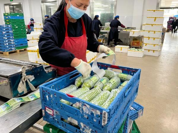 上海疫情期间最新政策解读与应对指南