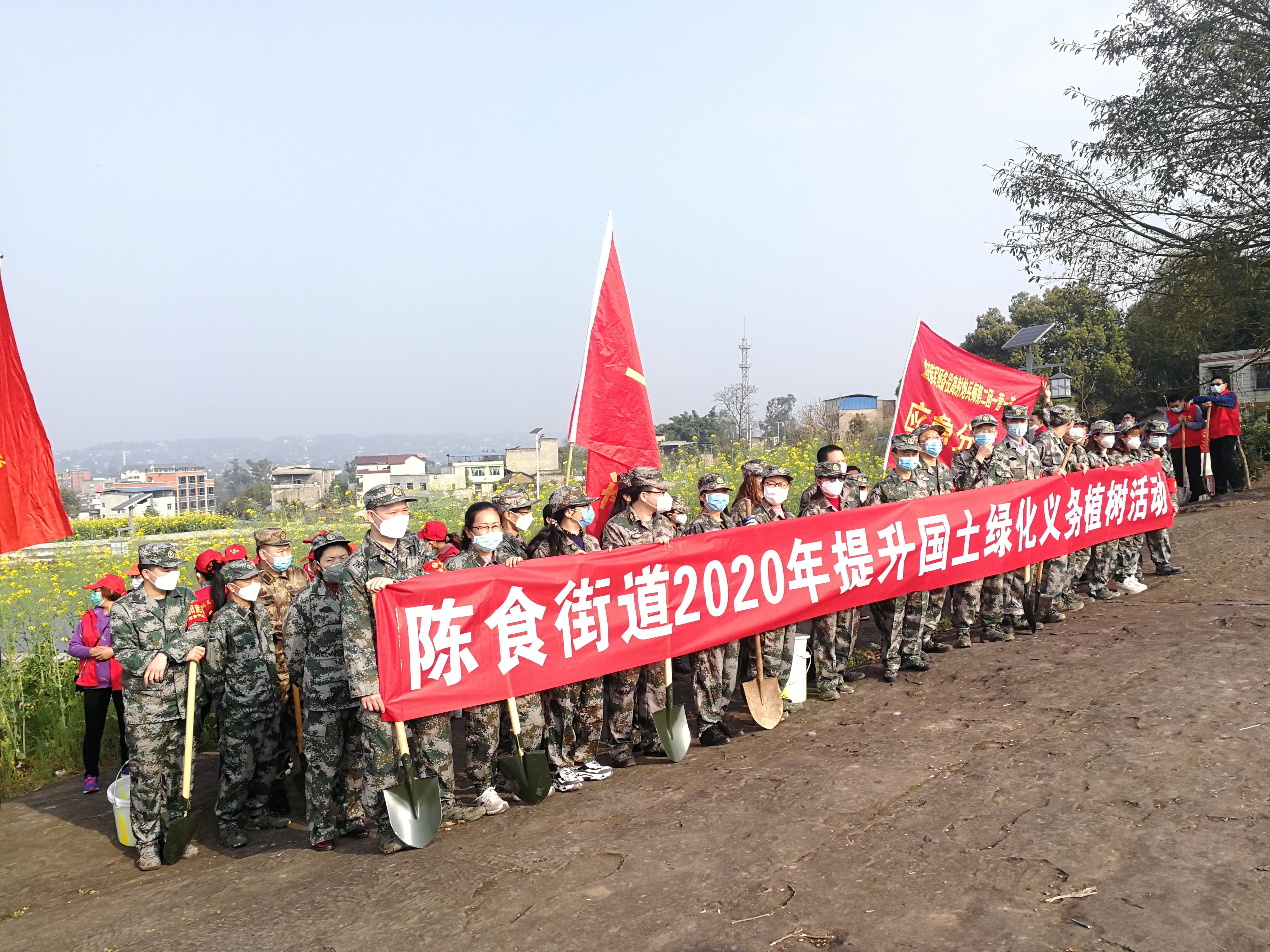 重庆疫情上报机制，挑战、应对与未来展望