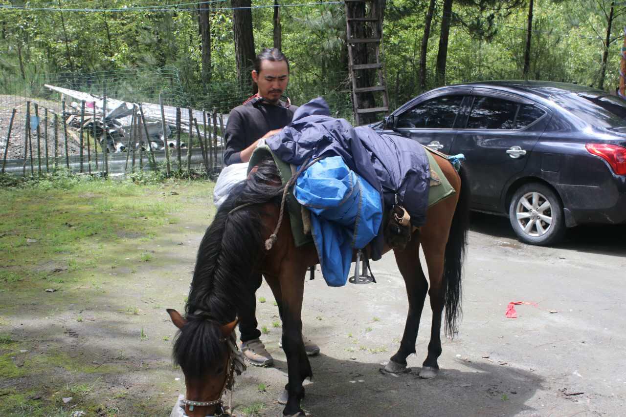 拉萨疫情进藏咨询，最新政策与旅行指南