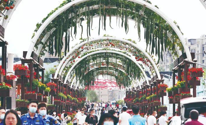 上海市疫情发布官网与长春新闻，信息透明与公众信任的双重保障