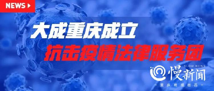 重庆市疫情防控领导小组成员，职责、挑战与应对策略