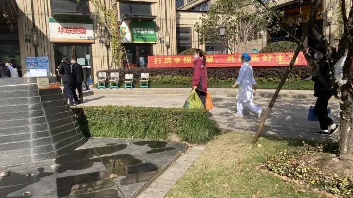 浙江省疫控局官网，疫情防控的权威信息平台