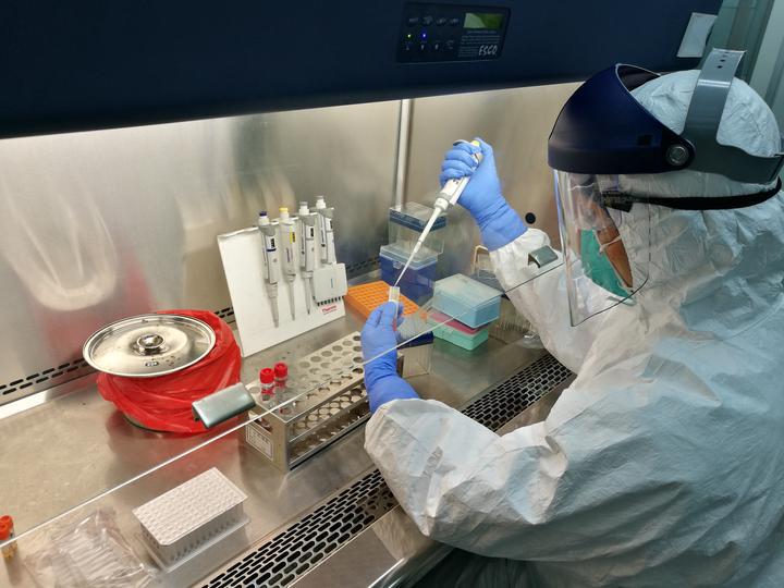 杭州疫情查询，最新动态、防控措施与实用指南